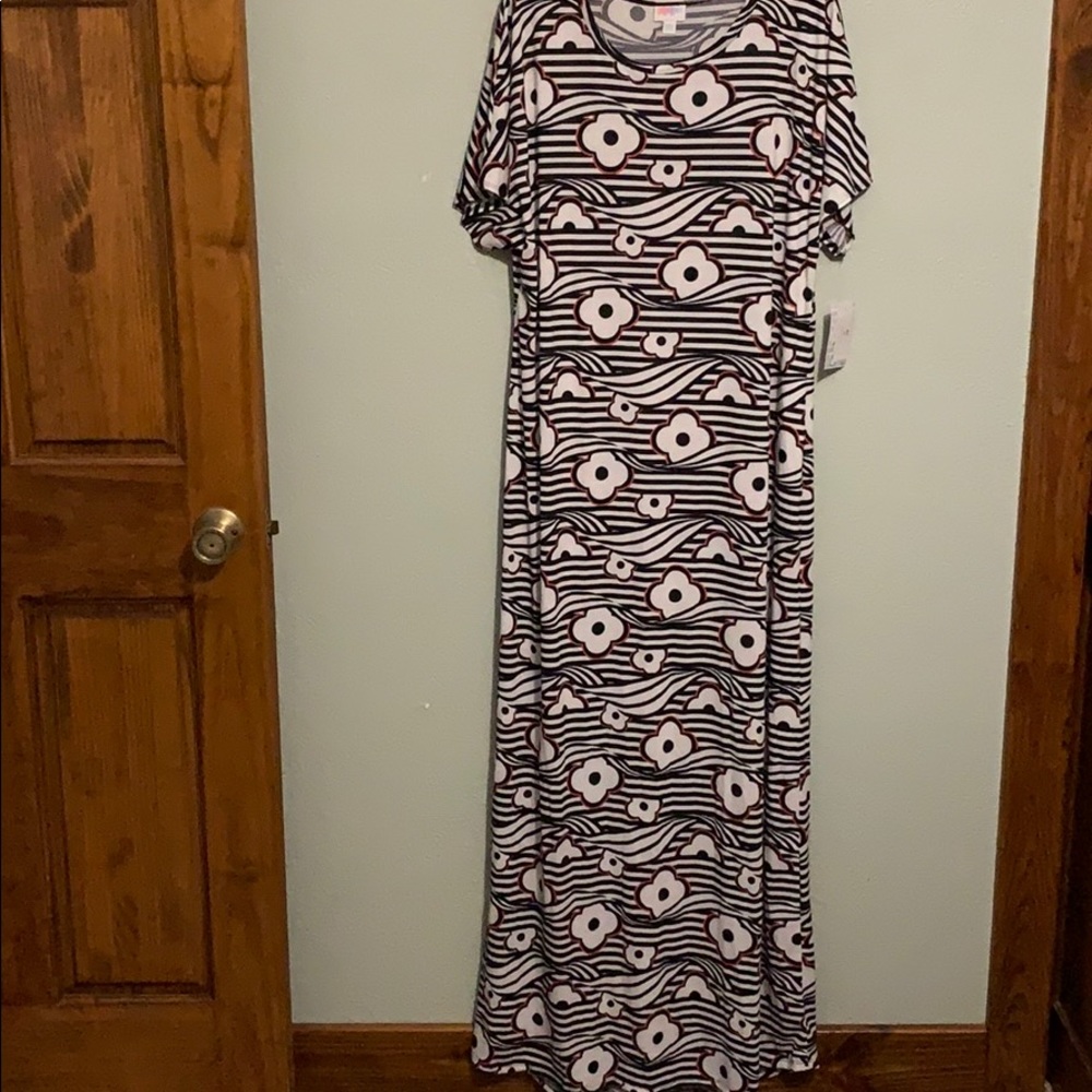 2XL - LulaRoe Maria Dress